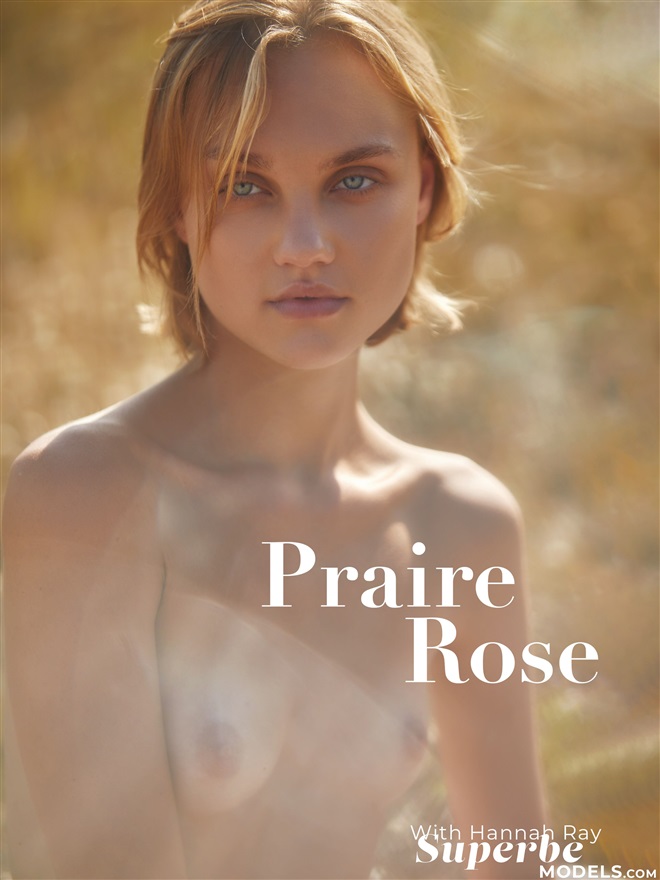 Hannah Ray - Praire Rose